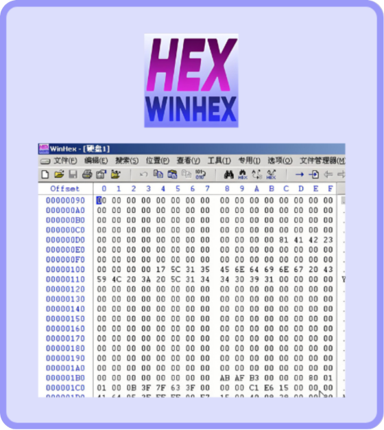 WinHex Interface